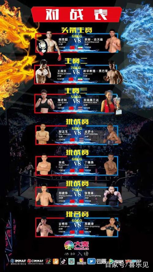 中国拳王vs速度拳王是谁