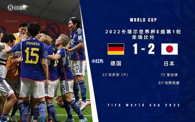 德国vs日本原视频