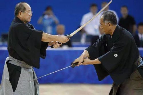 日本剑术vs欧洲击剑比赛