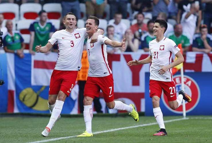 波兰vs智利哪里比赛