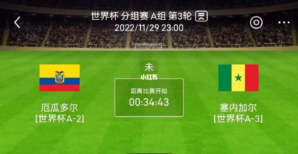 足球中国vs厄瓜多尔比分