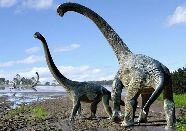 中国的恐龙vs外国的恐龙的相关图片
