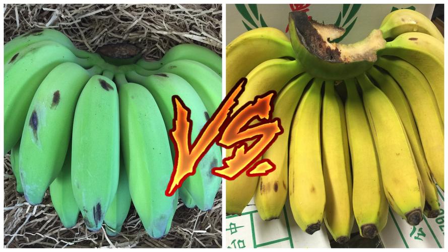 中国香蕉vs美国香蕉的相关图片