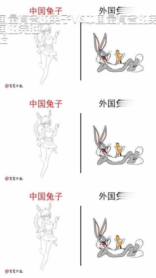 外国知名兔vs中国兔的相关图片