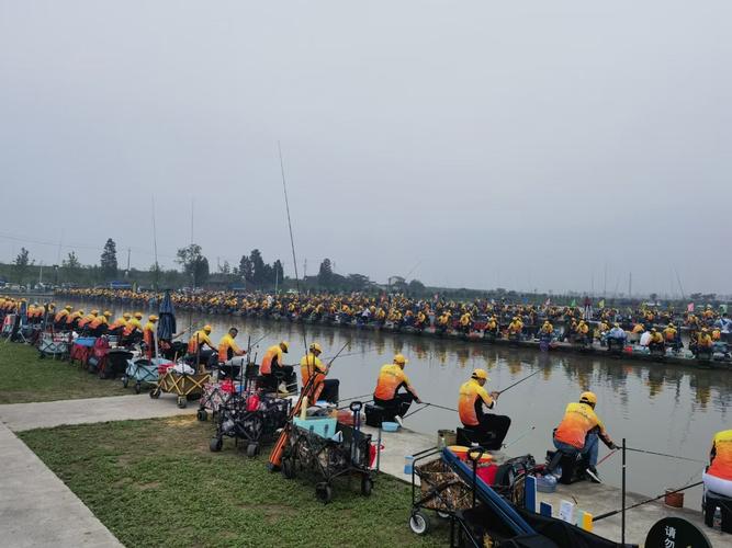 扬州体育钓鱼比赛视频直播的相关图片
