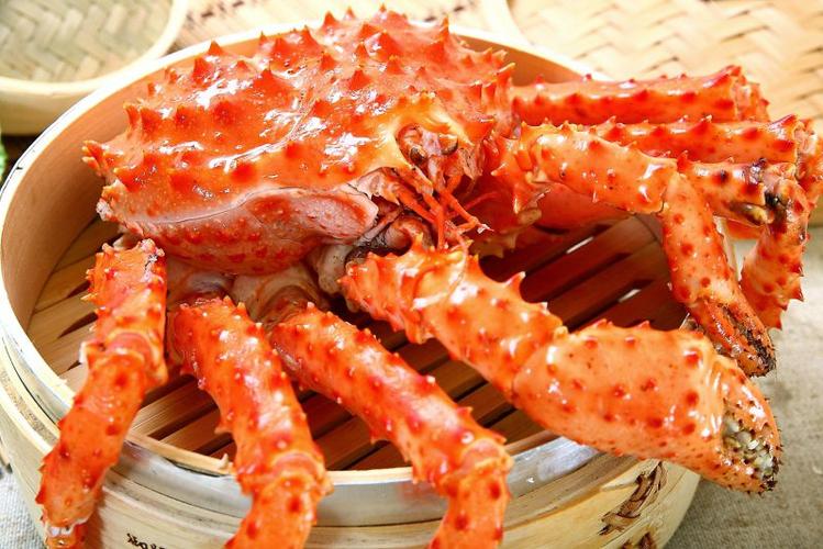 日本红帝王蟹vs花旗蟹的相关图片