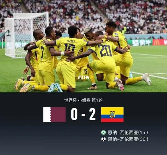 足球中国vs厄瓜多尔比分的相关图片